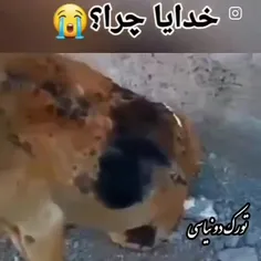 ادما اینجوری میسوزونن دل ادمو