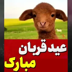 عید قربان مبارک باد