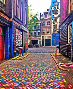 خیابان رنگی در هلند ...