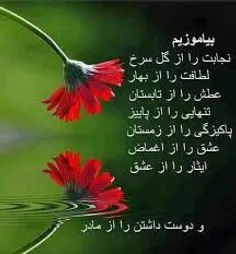 گوناگون leily.s 8537428