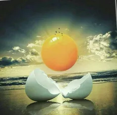 تخمه مرغ هست یا خورشید
