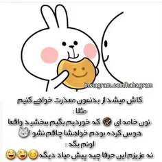 اگـــــــــه مـیشد چـی میشد😂