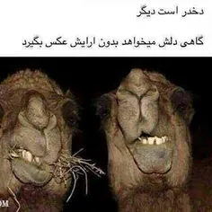 هههههههه