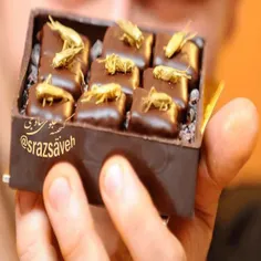 #آمریکا تنها کشوری که #شکلات‌ هایش را با #حشرات ادغام می 