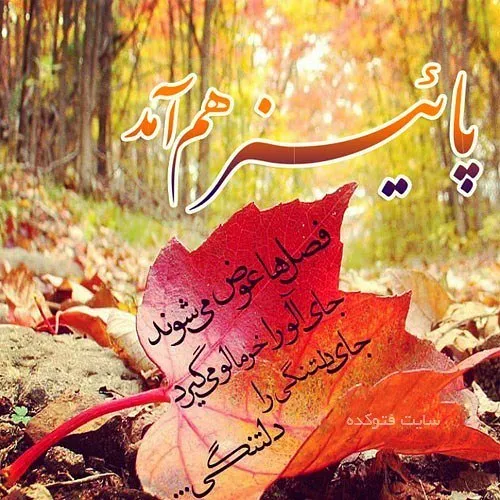 عکس نوشته aliazadimanesh 21145375 - عکس ویسگون