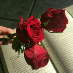 "في القراءة كما في الحبّ ،♥