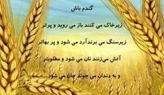 عکس نوشته iman.b 17312590