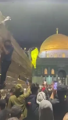 🔴 فیلمی از فلسطین منتشر شده که کسی پرچمی زرد را بالا میبر