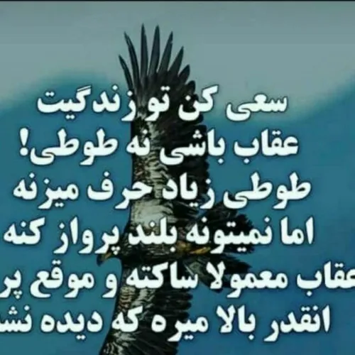 عکس نوشته elikhordadi 27473186 - عکس ویسگون