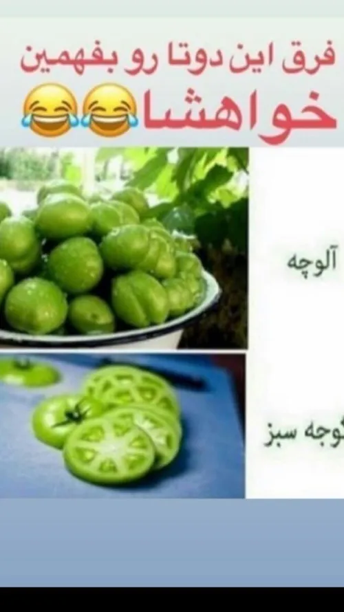 فرق این دوتارو بفهمید خواهشا😕 😂 😂 😂