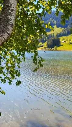 دعوتتون میکنم به دیدن بی نظیرترین حالت طبیعت