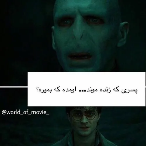 harrypotter