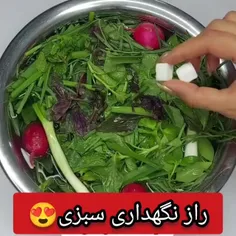 🌱راز نگهداری سبزی😍