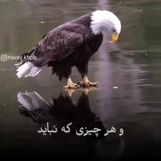 چه جوری سکوت کنم