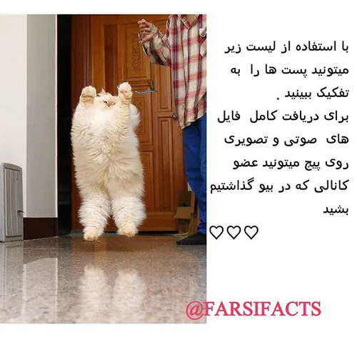 سلامت و تندرستی farsifacts 10740302 - عکس ویسگون