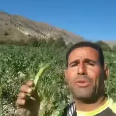 سلام بر هواداران خدادوست زیبا...😂😂😂😂😂