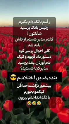 بیشعور گفت اون وام آقا زادهاست
