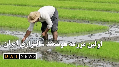 افتتاح اولین مزرعه هوشمند شالیزاری در ایران