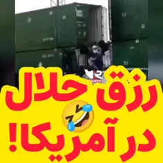 بزرگواران حمله کردند، یه #قطار حمل بار رو دارن غارت میکنن
😳😳😳😳
