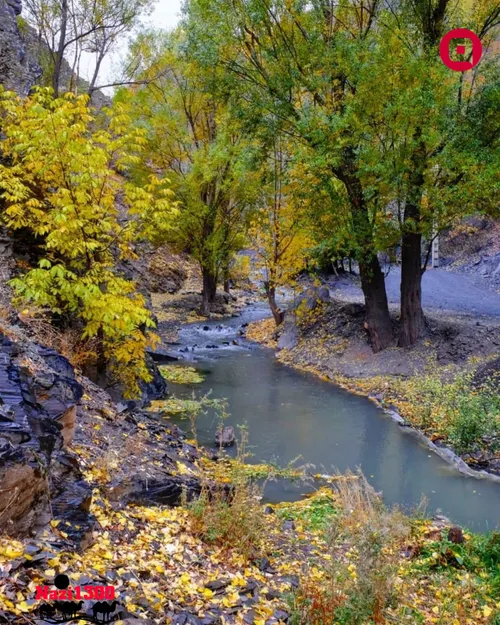 رودخونه و طبیعت زیبای زُشک