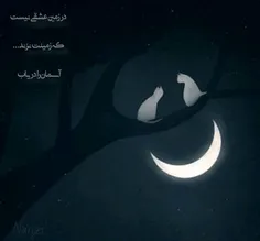 دارد تمام می شود ؛