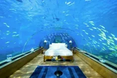 تختخواب زیر دریایی.
