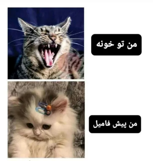 این داداش منه😒😒همه فک می کنند اون بچه مظلومیه😂😑