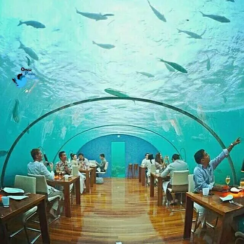 ‏رستوران زیر دریا، بولیوی.