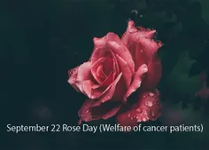 ۲۲ سپتامبر روز جهانی رز یا روز جهانی بدون سرطان است. روزی