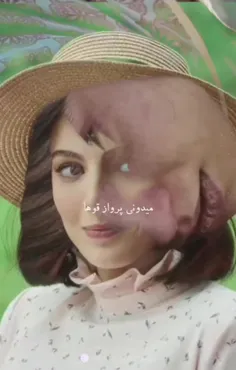 (پرواز قو ها)🥲🖤