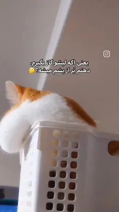 بگید ببینم میشه با نمیشه؟😁