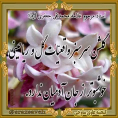 استاد مرحوم #علامه_محمدتقی_جعفری (ره) :