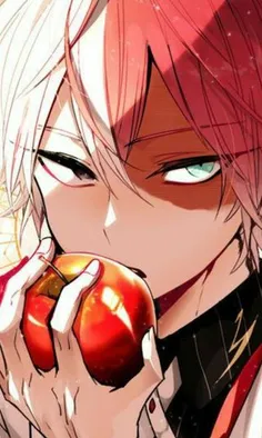 todoroki shoto