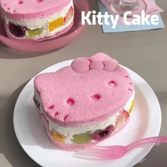 🐱🐱
