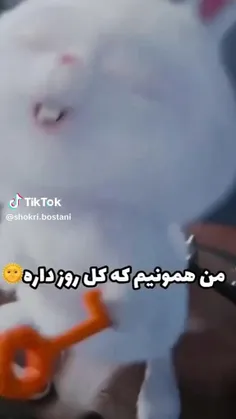 وای اره