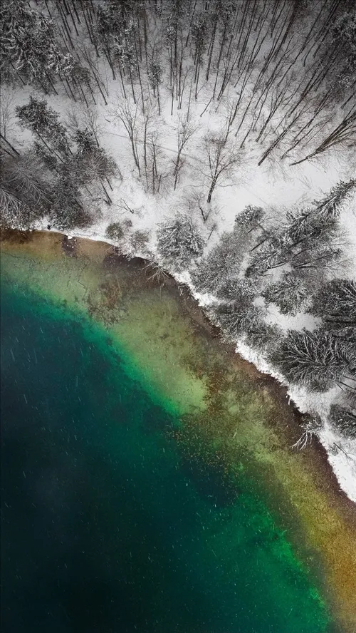 Lake Winter Trees Snow والپیپر