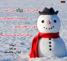 کاش روزی برف می آمد...