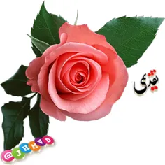 #کارت_پستال_استیکرسبد گل تقدیمی سه بعدی عکس گل جدید برای 