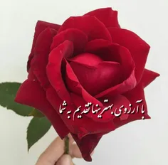 یک دنیا "ارادت"🌹 🍃 