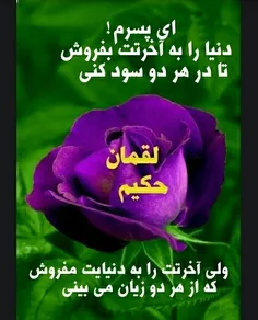 amirjafar188 55415526