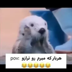 حق😂🤣