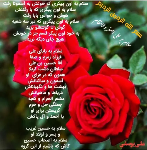 علی اصغر علی یوسفی