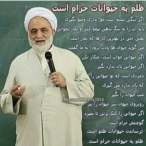 اونایی که میگن سگ نجس....نجس یا غیر نجس ،حق زندگی داره زب