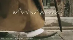 ♻️ #امام_خامنه‌ای(مدظله العالی) :
👈چگونگی گذران عمر، خودمان را
