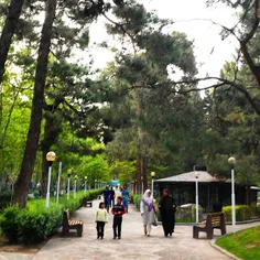 #dailytehran #Iran #Tehran #park #citylife #city #cityoft