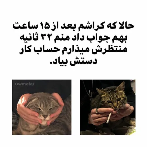  000333000 41455135 - عکس ویسگون