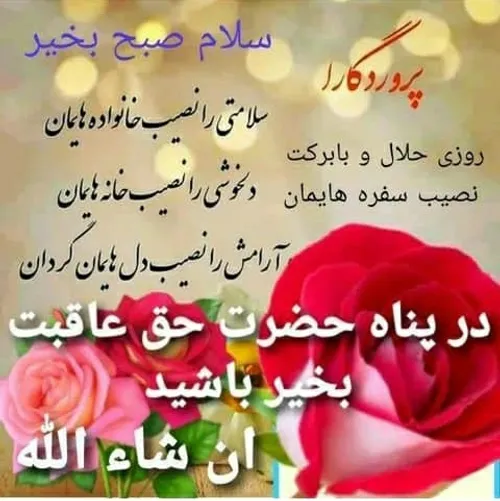  mohammadabbasikafsh 64537262 - عکس ویسگون