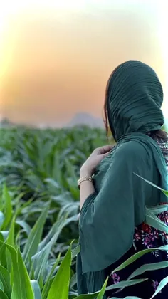 مقصد...