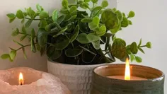 𝅭ㅤ𝅭ㅤ⎯⎯⎯⎯⎯⎯  ★ ⎯⎯⎯⎯⎯⎯ ㅤ𝅭ㅤ𝅭