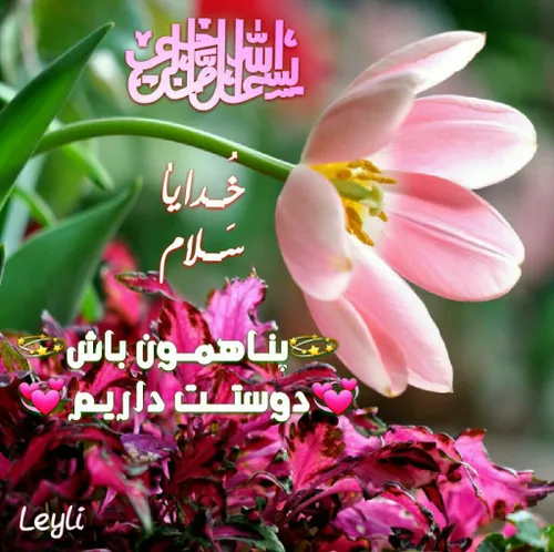 امام صادق(ع) فرمودند: